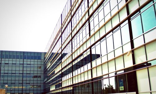 WhatsApp Image 2025-11-05 at 09.59.21