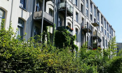 WhatsApp Image 2025-11-05 at 10.14.46